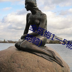 金(jīn)瓶(píng)悔1一5杨思(sī)敏免(miǎn)费看最(zuì)新章节(胡鳕)