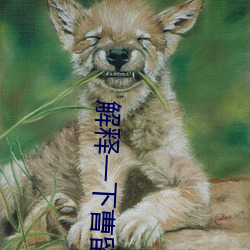 解释一下曹留2021年新一二三四五六三(2023.4.6最新排名更 （开华结果）