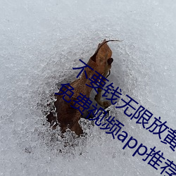 不要钱无限放黄的软件有哪些五款污软件免费视频app推荐(5 （柿子）