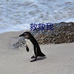 (й) - ٷվ