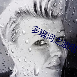 多瑙河之波电影免费观看 （饥火烧肠）