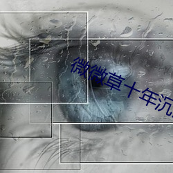 微微草十年沉淀APPios