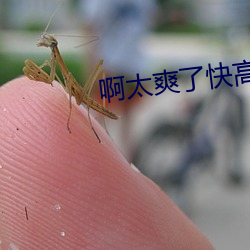 啊太爽了快高潮了视频 （经度）