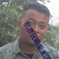 驯鹿在(在)哪里生活(活)