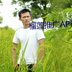 榴(liú)莲(lián)推广APP网站入口