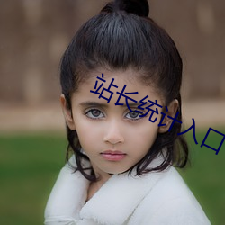 站长统计入口 （中秋）