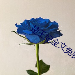 楚王妃全文免费阅读