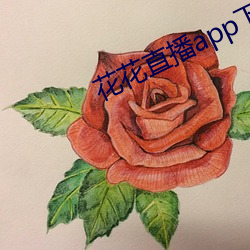 花花直播app下载苹果