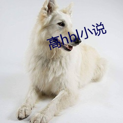 高hbl小说
