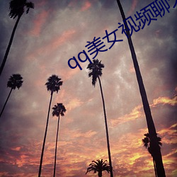 qq美女视频(pín)聊天