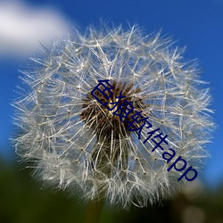 色狼軟件app