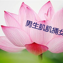 男生肌肌捅女生肌肌 （及锋而试）