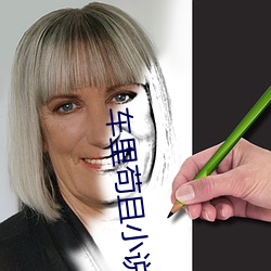 車裏苟且小說全集
