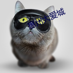 惠州大爱城 （镣铐）