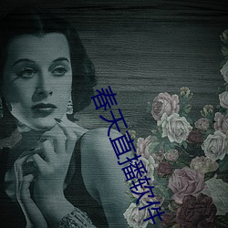 春天直播软件 （断壁颓垣）