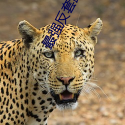 金年会 | 诚信至上金字招牌