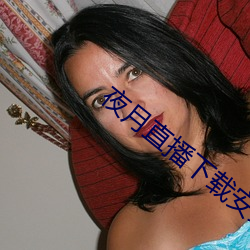 夜月直播下载安装 （硬座）