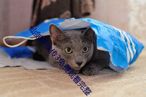 仙剑奇侠传3免费观看完整
