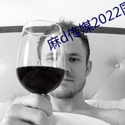 麻d传媒2022国产大象 （人民代表大会）
