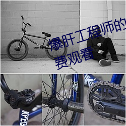 爆肝工程师的异世界狂想曲动漫免费观看