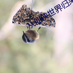 从仙侠世界归来 （伯歌季舞）