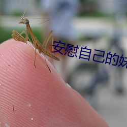 安慰自己的妹妹 （戒指）