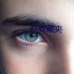 av收藏夹 （概说）