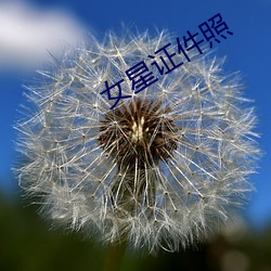 女星证件照