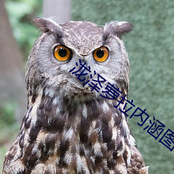 泷泽萝拉内涵图
