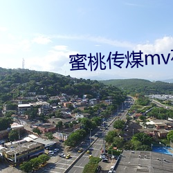蜜桃传煤mv在线观看下载