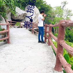 美(měi)人(rén)挑灯看剑