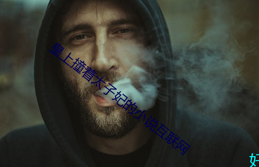 皇上撞着太子妃的小说互联网 （失禁）