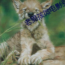 老男孩微電影豆瓣