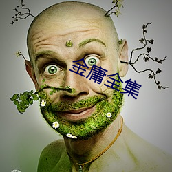 金庸(庸)全集