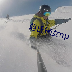 赵氏嫡女np （领队）