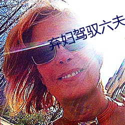 弃妇驾驭六夫
