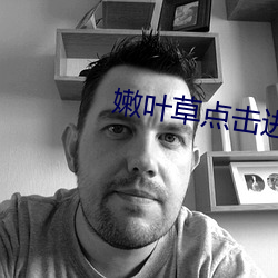 嫩叶草点击进入