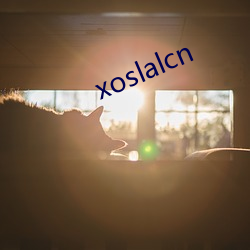 xoslalcn գ