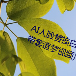 AI人脸替换白鹿造梦视频(AI换脸自带套造梦视频) （成千累万）