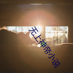 无上神帝小说