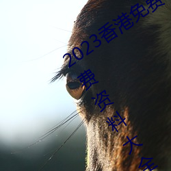 2023香港免费特马资料(香港特马资料免费资料大全)