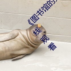 《图书馆的女朋友未增删带翻译》免费高清在线观看