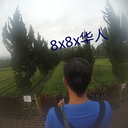 8x8x华人