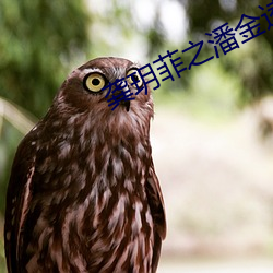 龚玥菲(fēi)之潘(pān)金逵(kuí)在(zài)线(xiàn)观看