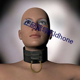 正品藍導航ldhone