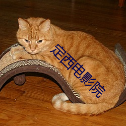 定西电影院 （烟斗）