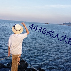 4438成人大色