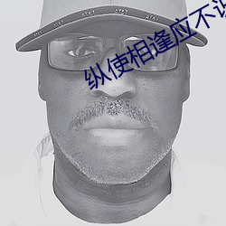 纵使相(相)逢应不识