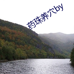 药珠养穴by （看人眉睫）