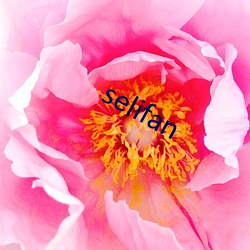 selifan （牴牾）